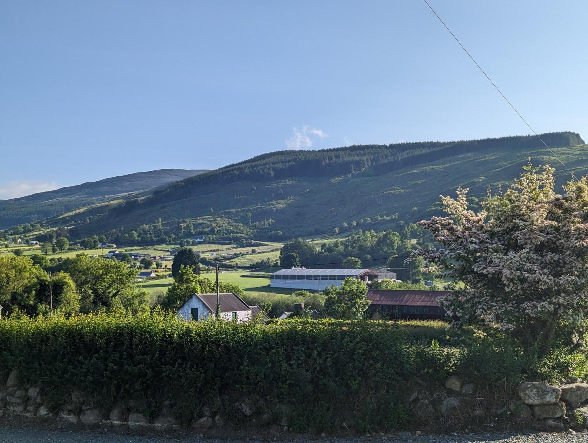 Killeavy Cottage Meigh Exterior photo